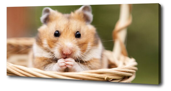 Tablouri tipărite pe pânză Hamster în coș