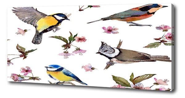 Imprimare tablou canvas Bird flori de cires