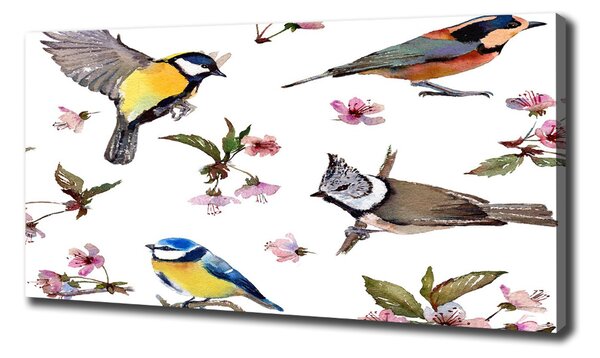 Imprimare tablou canvas Bird flori de cires