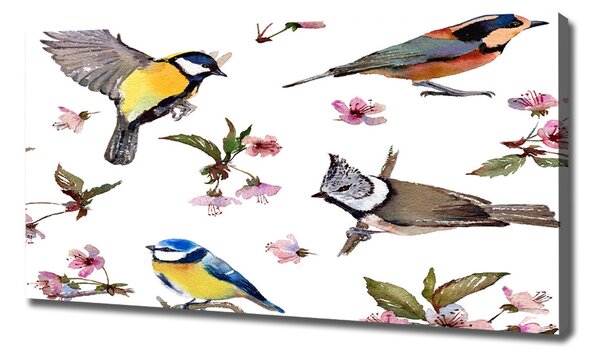 Imprimare tablou canvas Bird flori de cires