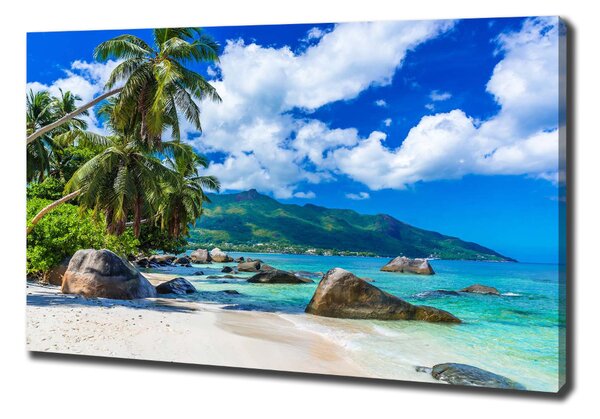 Print pe canvas plaja Seychelles