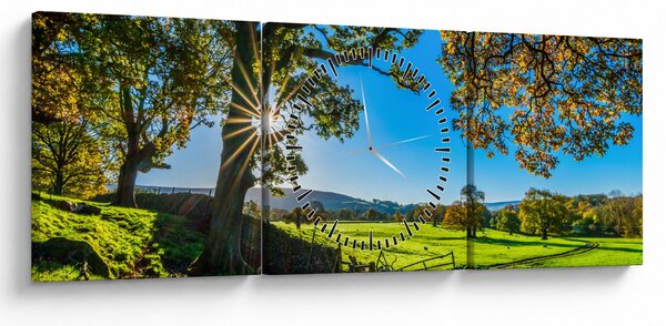 Tablou Privire la câmp (cu ceas) (90x30 cm)