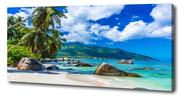 Print pe canvas plaja Seychelles