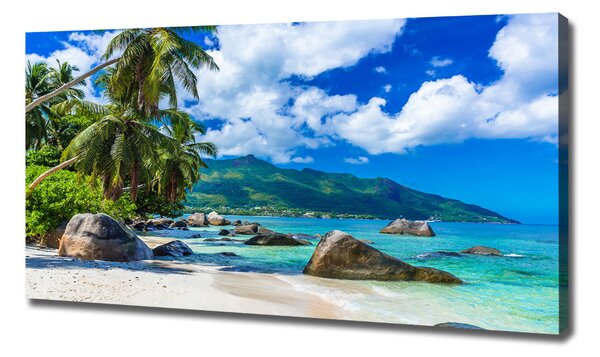 Print pe canvas plaja Seychelles