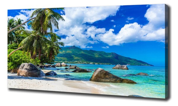 Print pe canvas plaja Seychelles