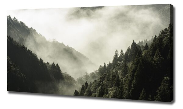 Tablou canvas Ceață peste pădure
