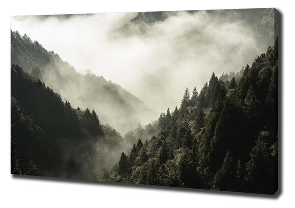 Tablou canvas Ceață peste pădure