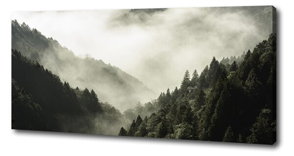 Tablou canvas Ceață peste pădure