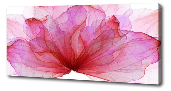 Tablou pe pânză canvas floare roz