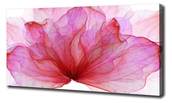 Tablou pe pânză canvas floare roz