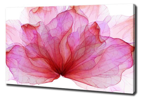 Tablou pe pânză canvas floare roz