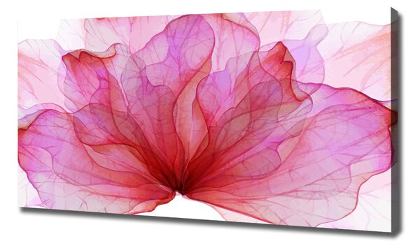 Tablou pe pânză canvas floare roz