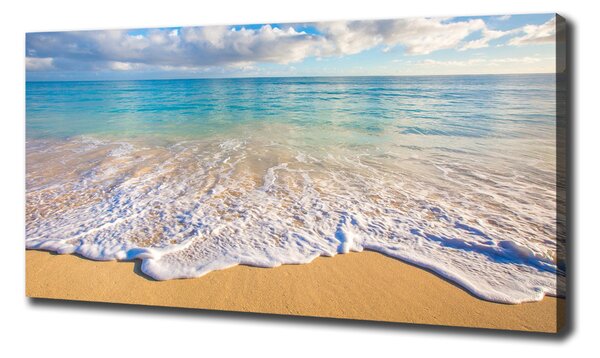 Tablou pe pânză canvas plaja Hawaii
