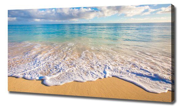 Tablou pe pânză canvas plaja Hawaii