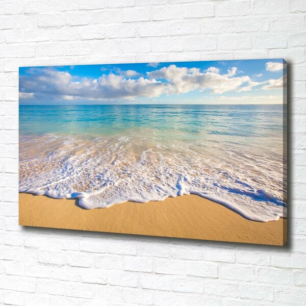 Tablou pe pânză canvas plaja Hawaii