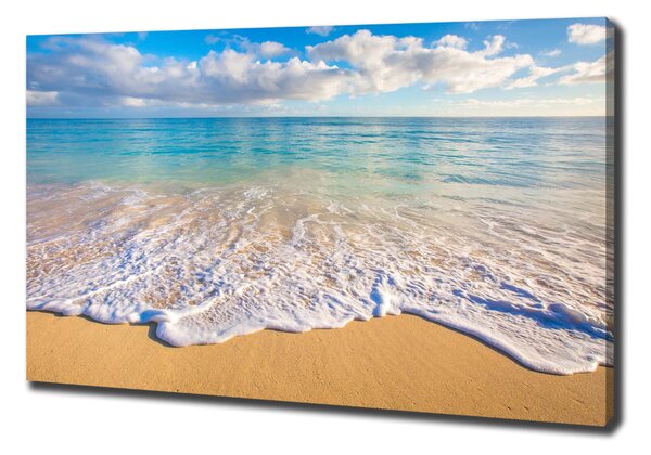 Tablou pe pânză canvas plaja Hawaii