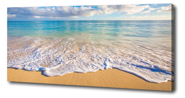 Tablou pe pânză canvas plaja Hawaii