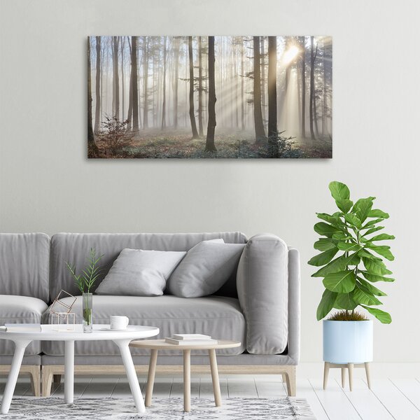 Imprimare tablou canvas Ceață în pădure