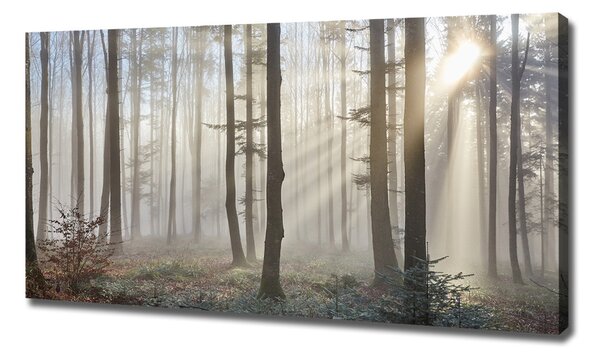 Imprimare tablou canvas Ceață în pădure
