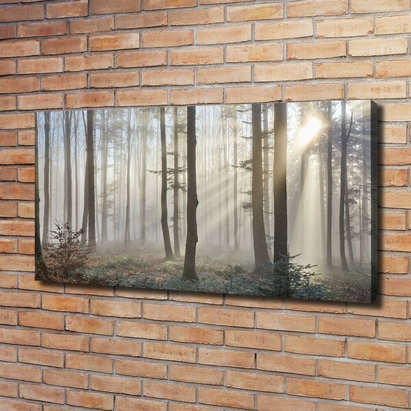 Imprimare tablou canvas Ceață în pădure