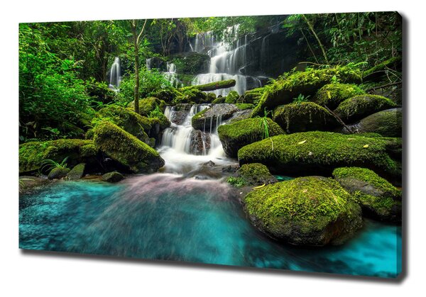 Print pe pânză Cascada din junglă