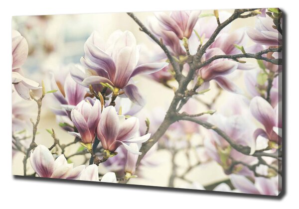 Pictură pe pânză Magnolie