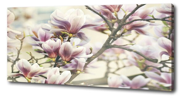 Pictură pe pânză Magnolie