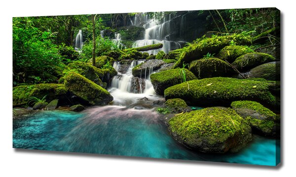 Print pe pânză Cascada din junglă
