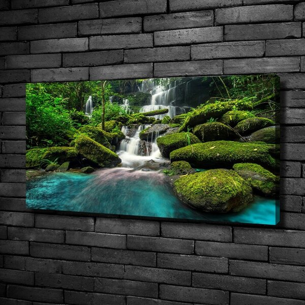 Print pe pânză Cascada din junglă