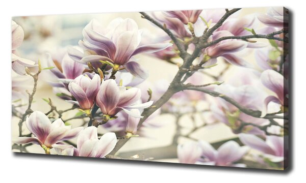 Pictură pe pânză Magnolie