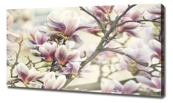 Pictură pe pânză Magnolie