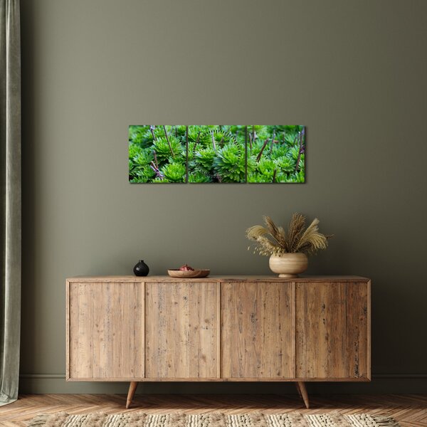 Tablou - Aloe (cu ceas) (90x30 cm)
