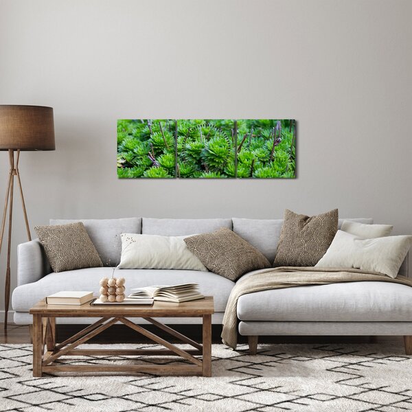 Tablou - Aloe (cu ceas) (90x30 cm)