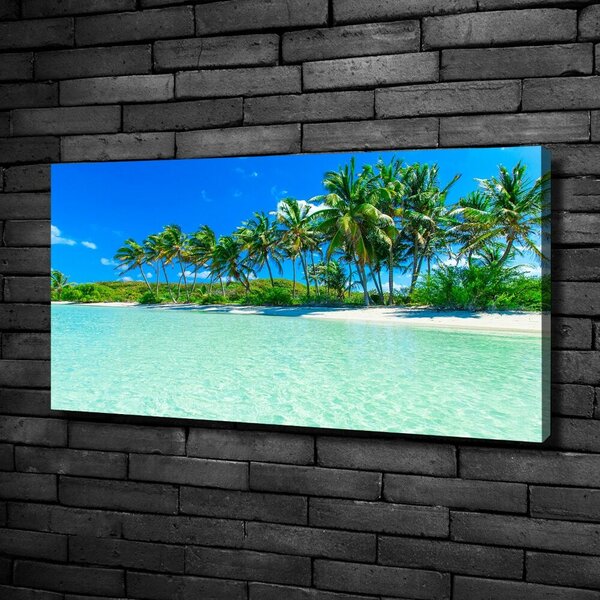Tablou canvas plaja tropicala