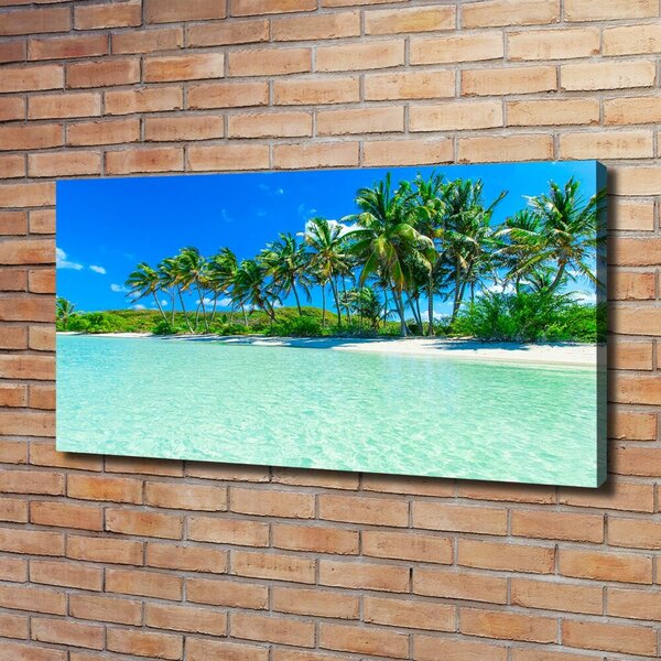 Tablou canvas plaja tropicala
