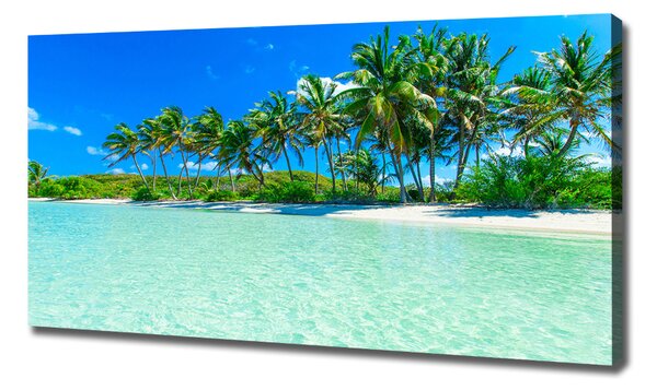 Tablou canvas plaja tropicala