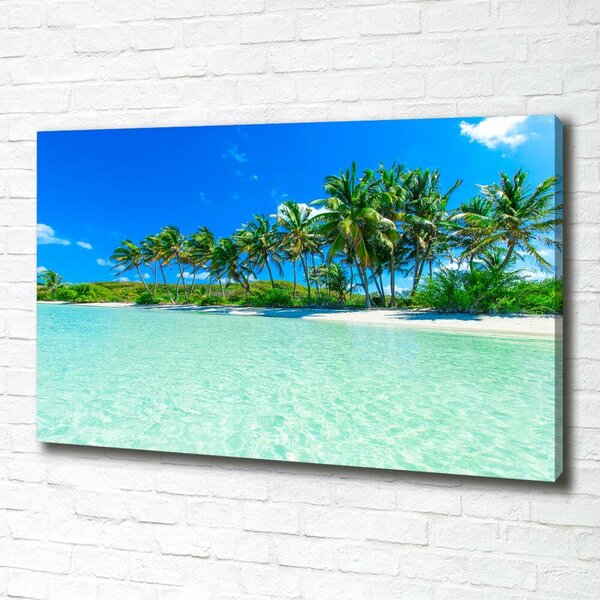 Tablou canvas plaja tropicala