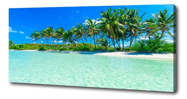 Tablou canvas plaja tropicala