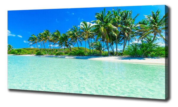 Tablou canvas plaja tropicala