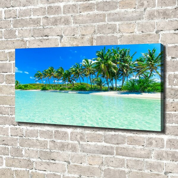 Tablou canvas plaja tropicala