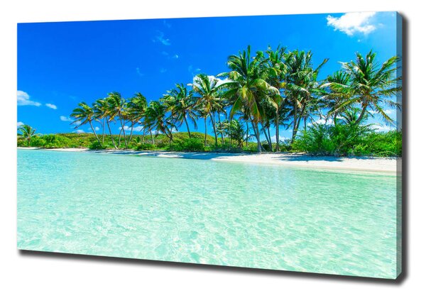 Tablou canvas plaja tropicala