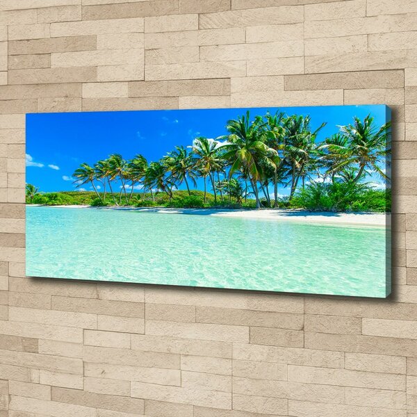 Tablou canvas plaja tropicala