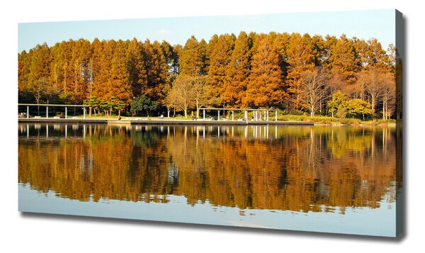 Tablou canvas Lake Forest