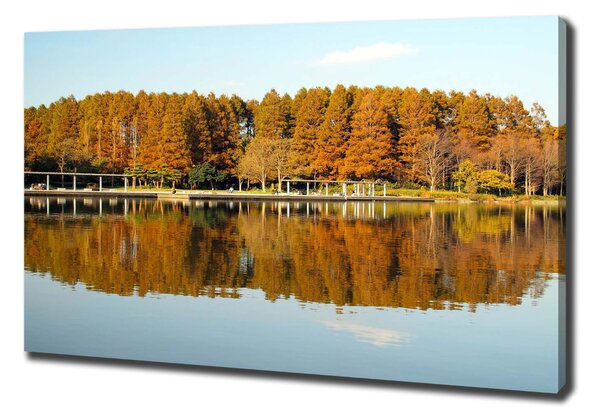 Tablou canvas Lake Forest
