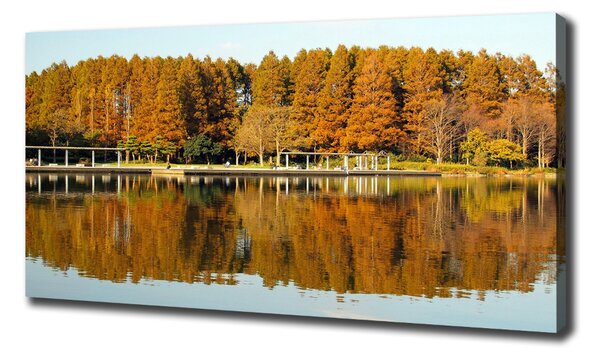 Tablou canvas Lake Forest