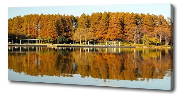 Tablou canvas Lake Forest