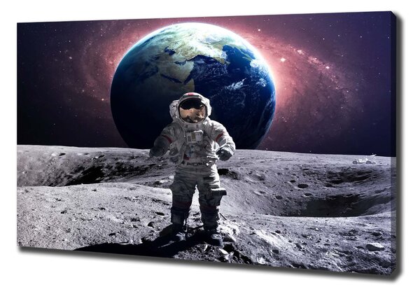 Tablou pe pânză Astronaut