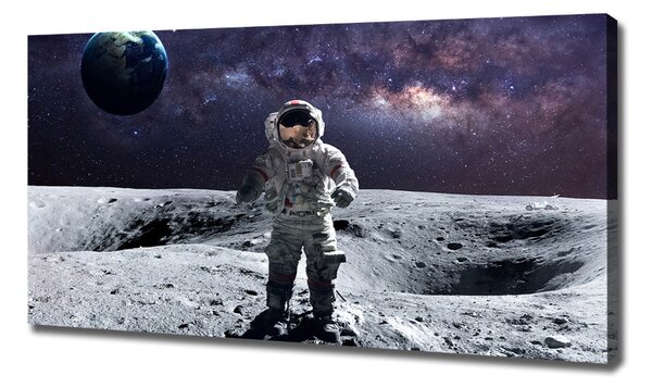 Print pe pânză Astronaut