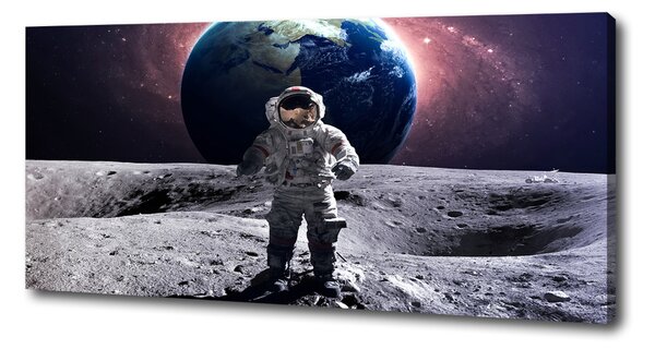 Tablou pe pânză Astronaut