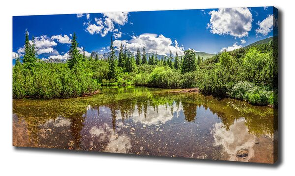 Tablou pe pânză canvas Lacul în pădure